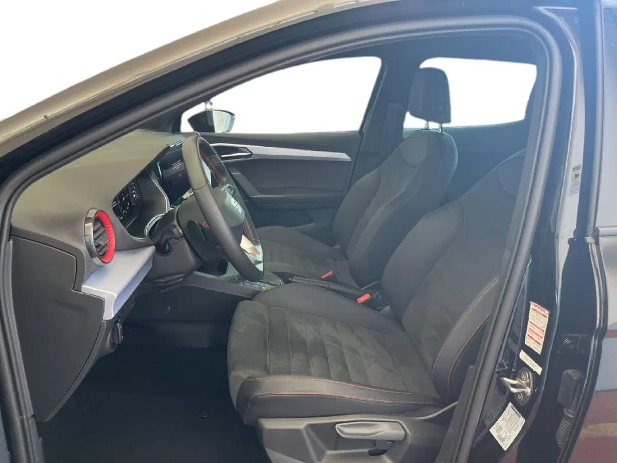 SEAT Ibiza usata a Torino (10)