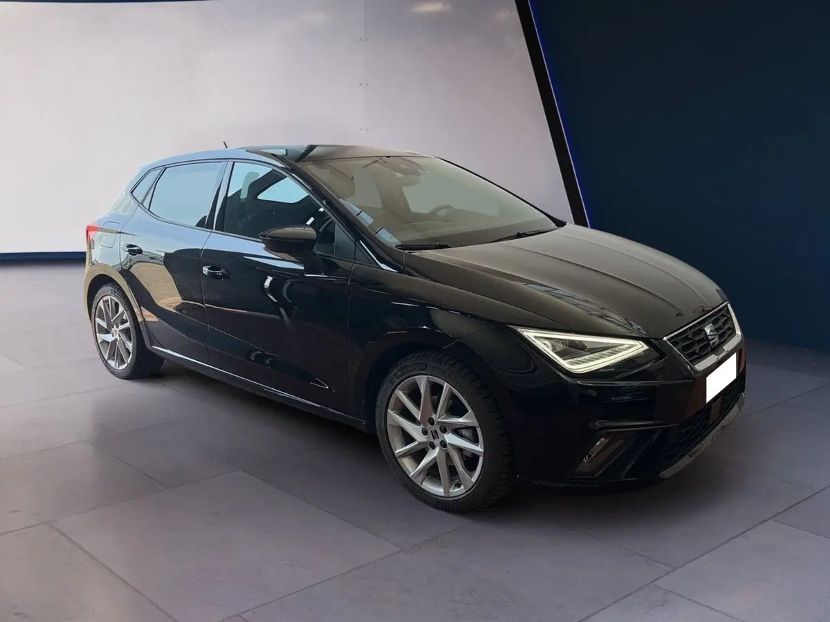 SEAT Ibiza usata a Torino (2)