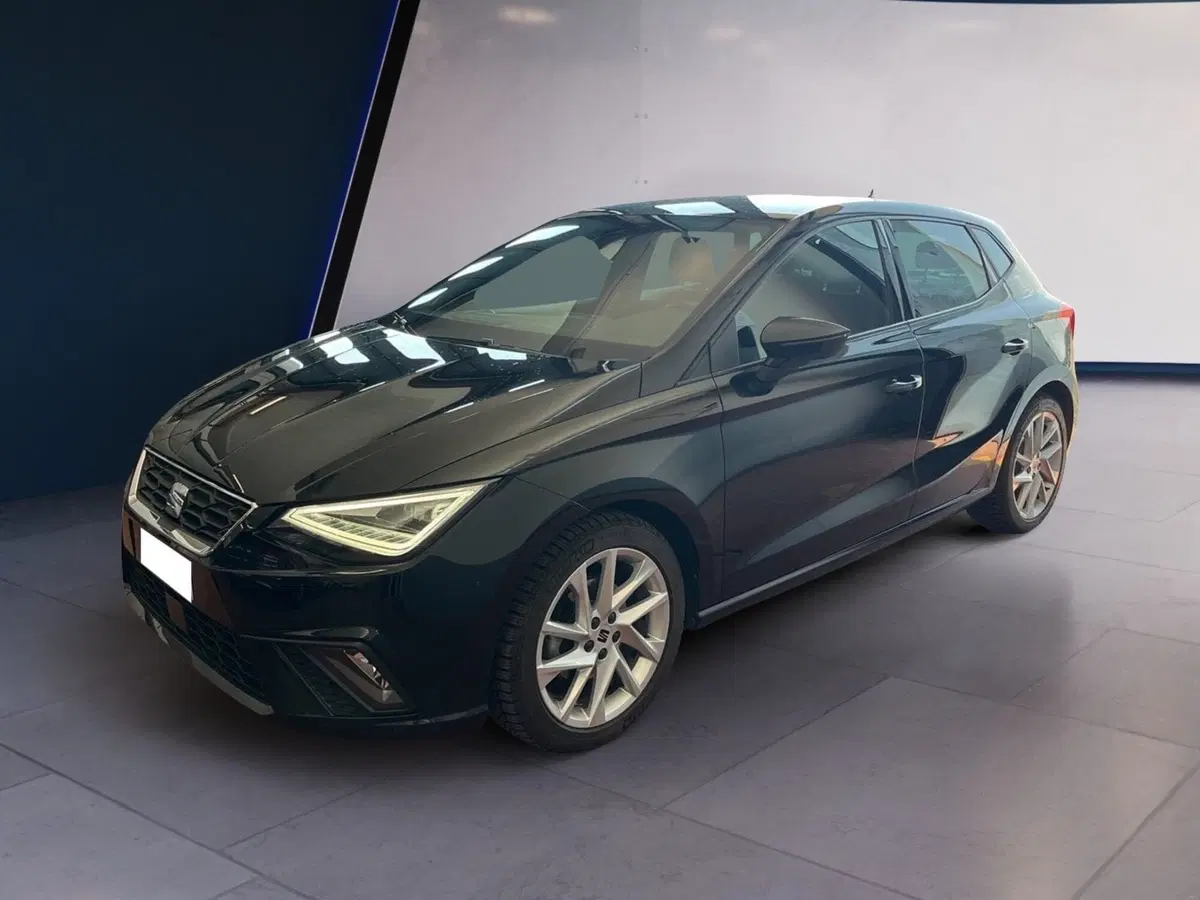 SEAT Ibiza usata a Torino (3)