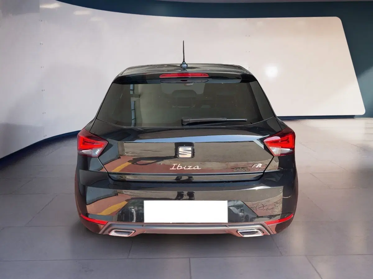 SEAT Ibiza usata a Torino (5)