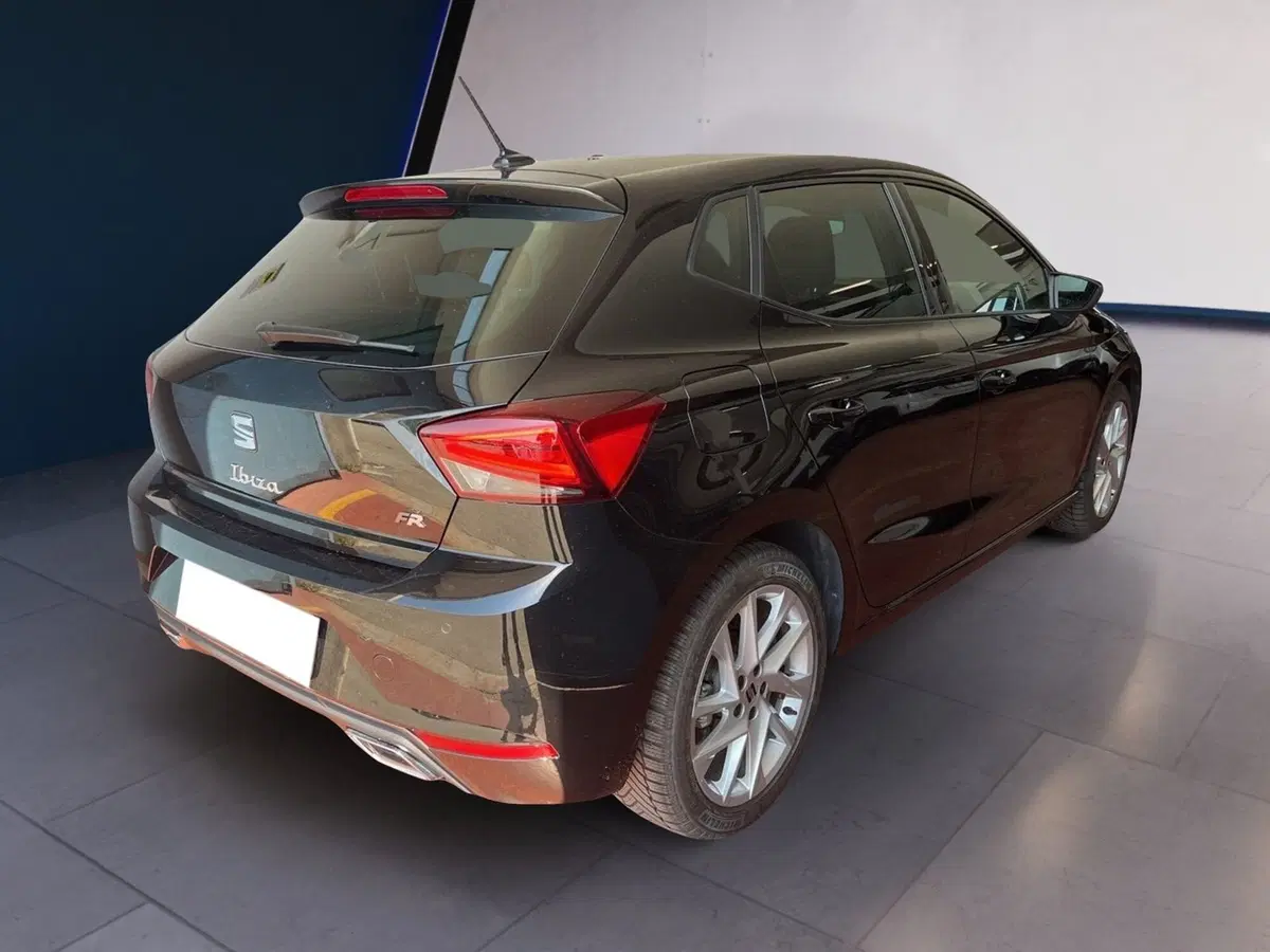 SEAT Ibiza usata a Torino (6)