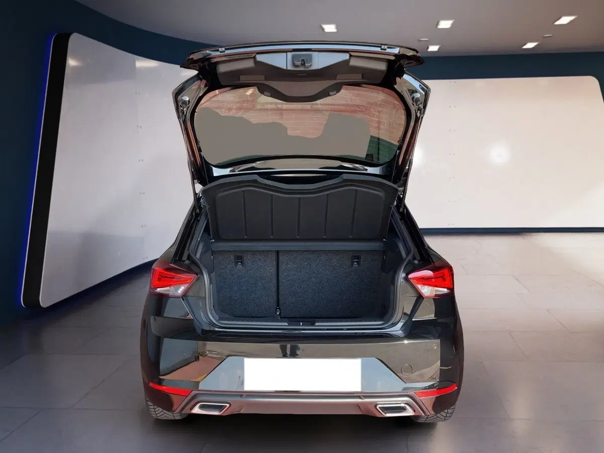SEAT Ibiza usata a Torino (8)