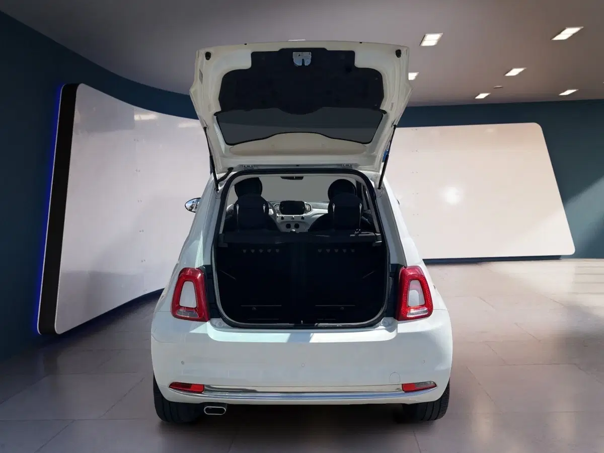 Fiat 500 usata a Torino (8)