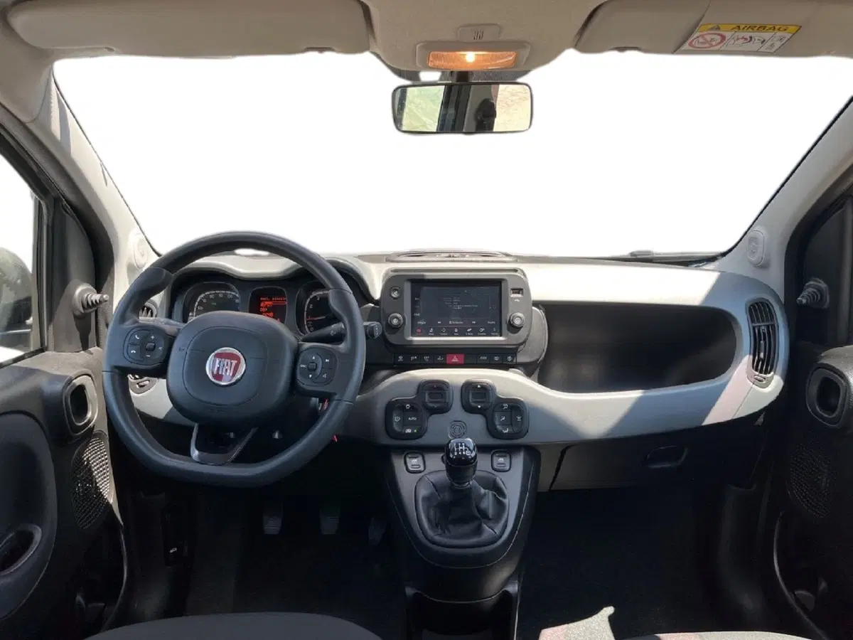 Fiat Panda Cross usata a Torino (11)