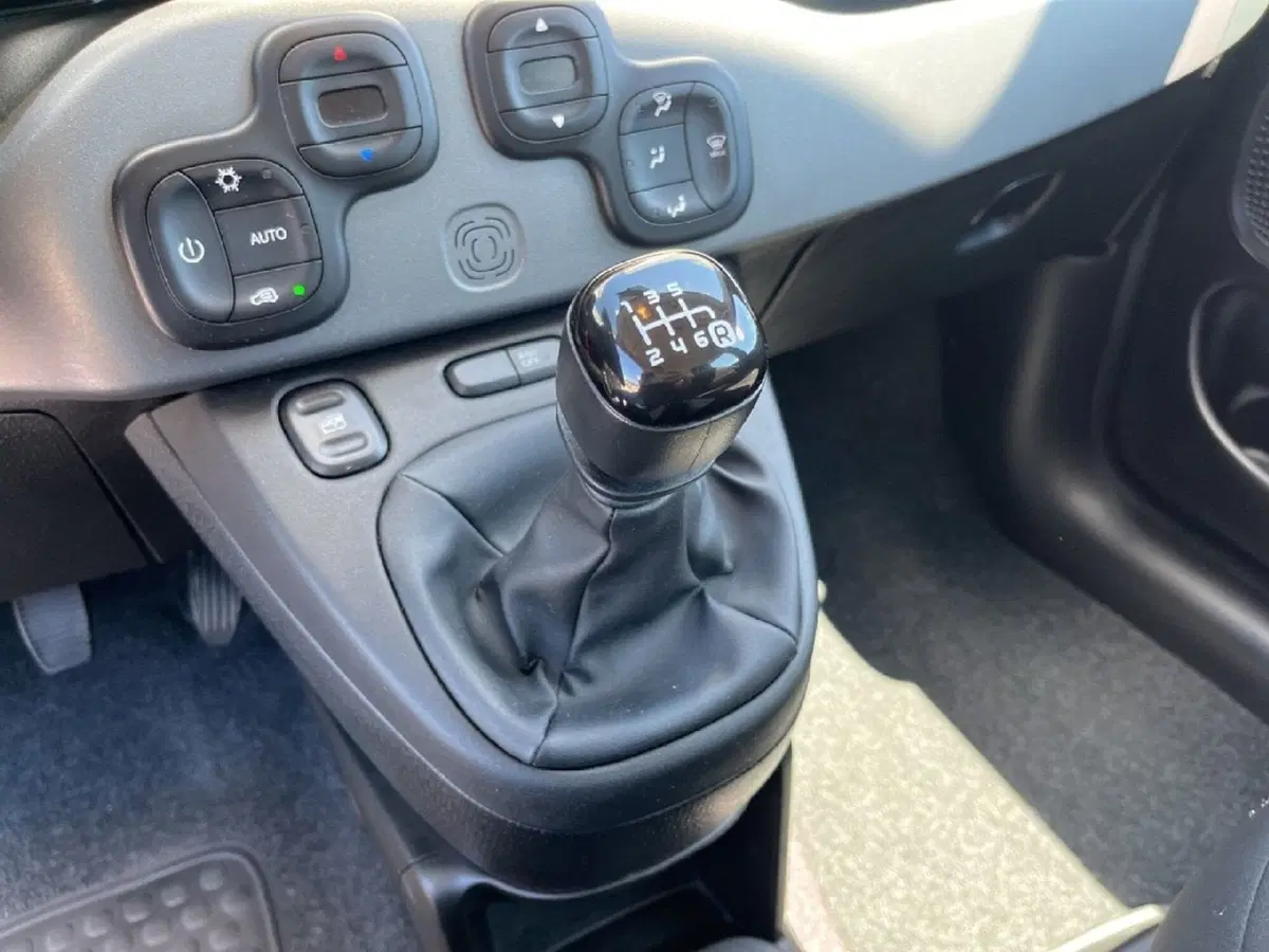 Fiat Panda Cross usata a Torino (13)