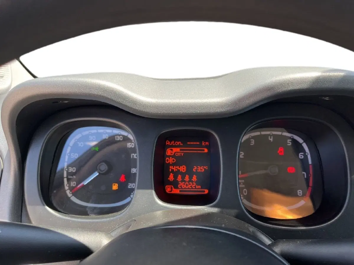 Fiat Panda Cross usata a Torino (15)
