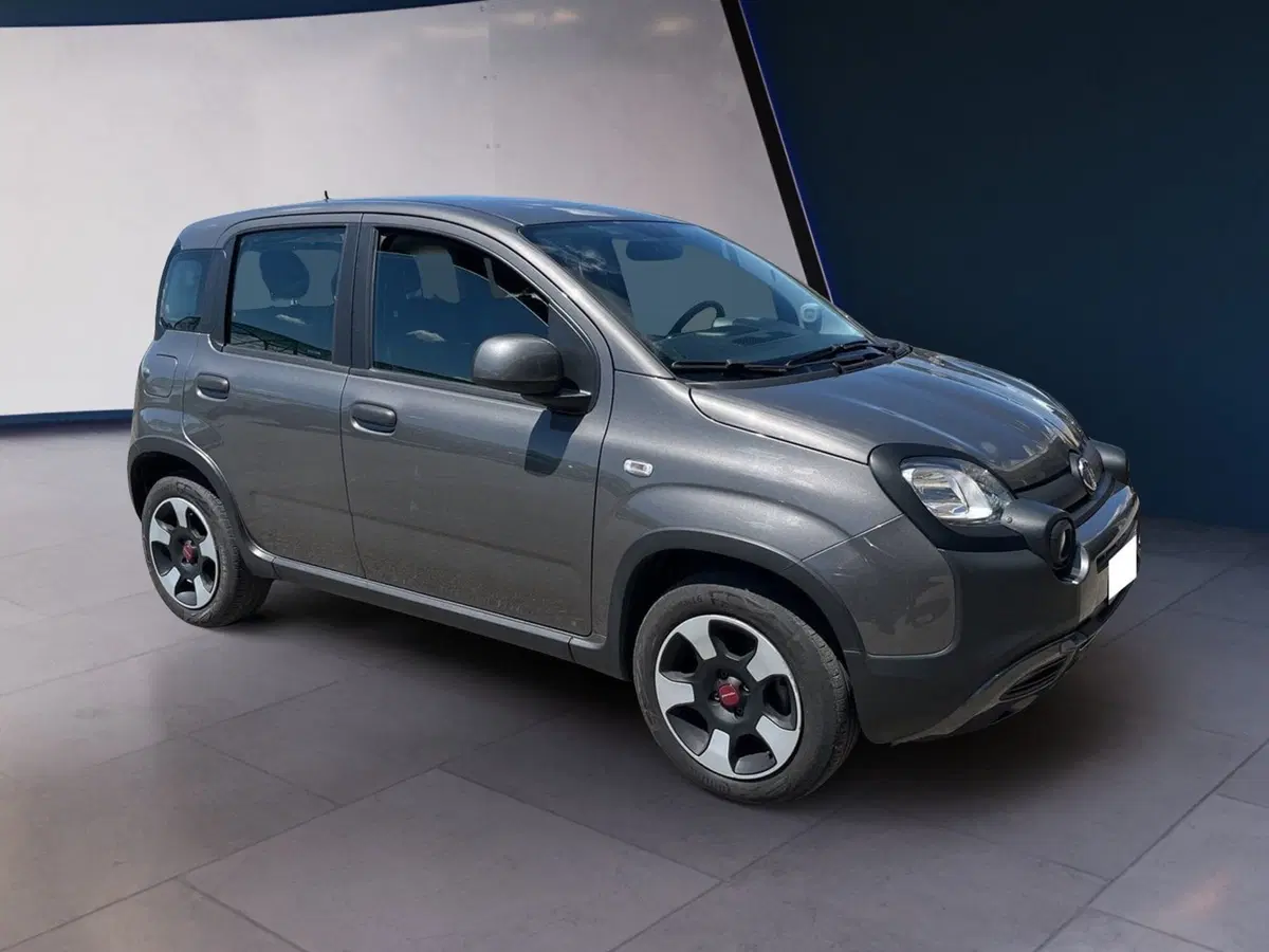 Fiat Panda Cross usata a Torino (2)