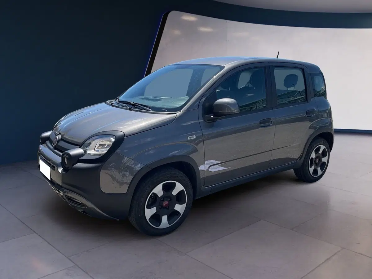 Fiat Panda Cross usata a Torino (3)