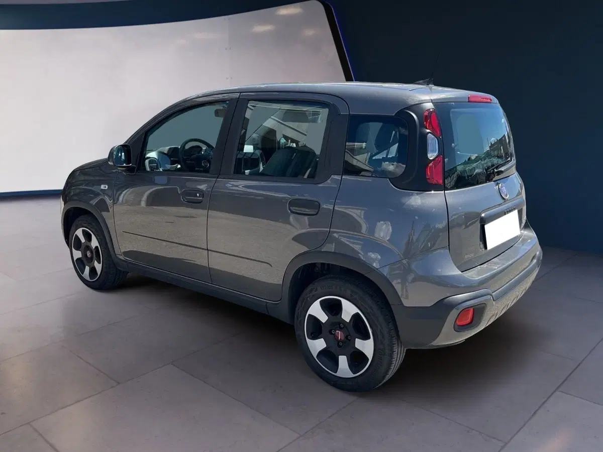 Fiat Panda Cross usata a Torino (4)