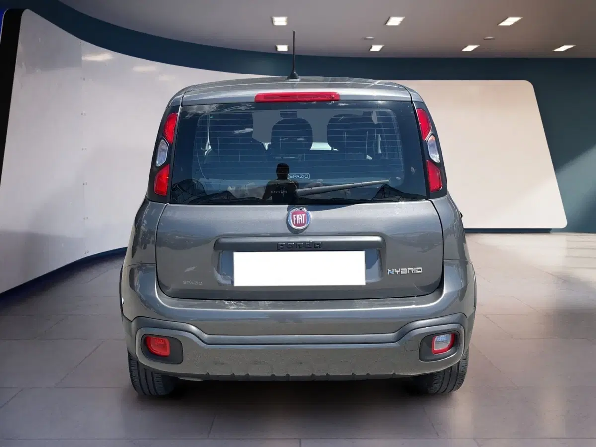 Fiat Panda Cross usata a Torino (5)