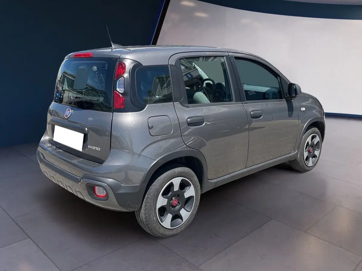 Fiat Panda Cross usata a Torino (6)
