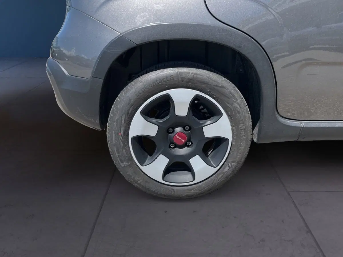 Fiat Panda Cross usata a Torino (7)