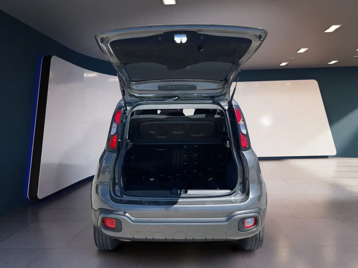 Fiat Panda Cross usata a Torino (8)