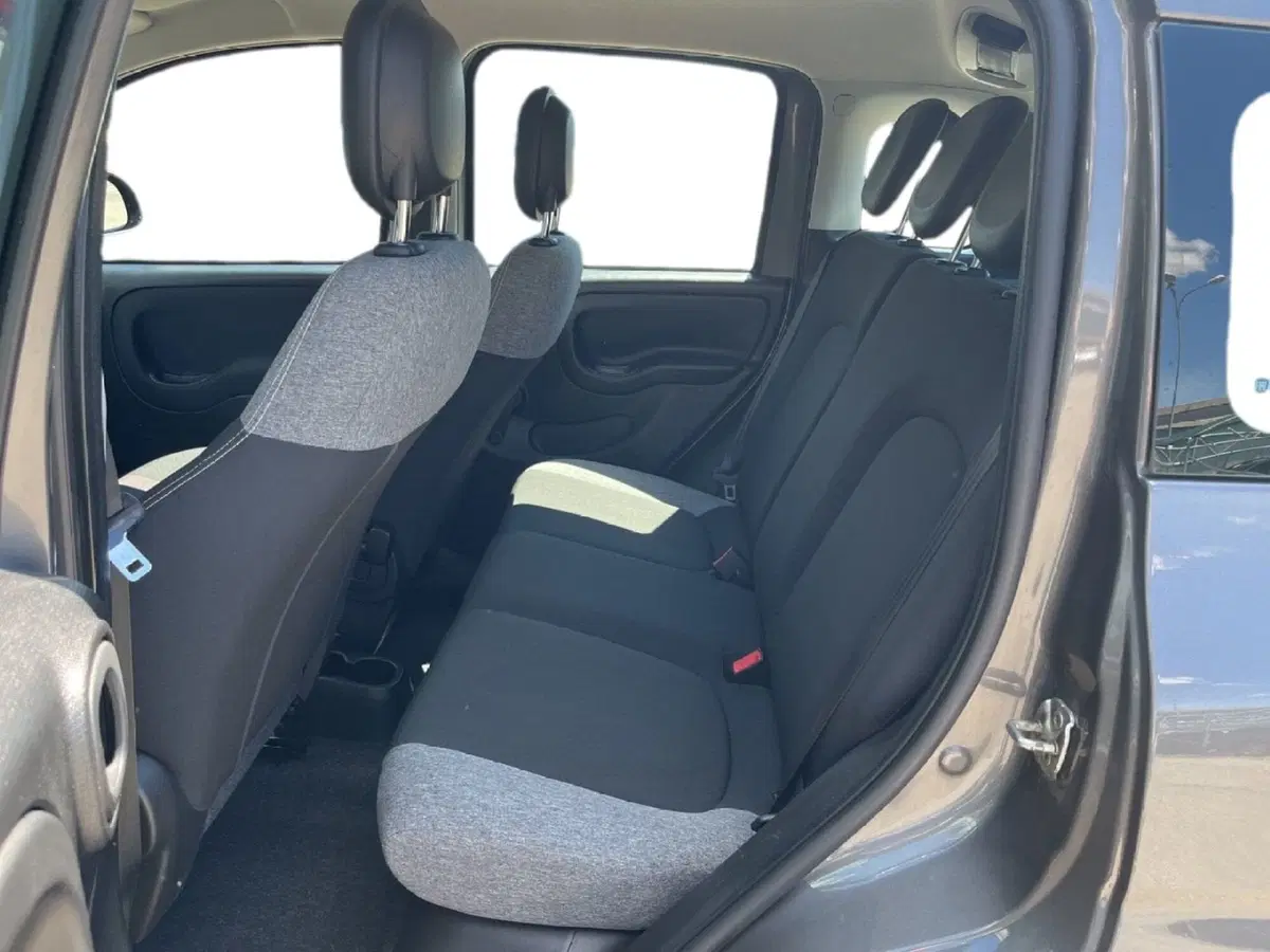 Fiat Panda Cross usata a Torino (9)