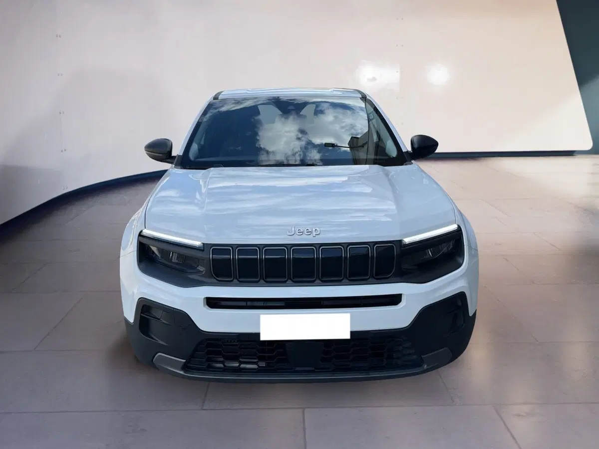 Jeep Avenger usata a Torino