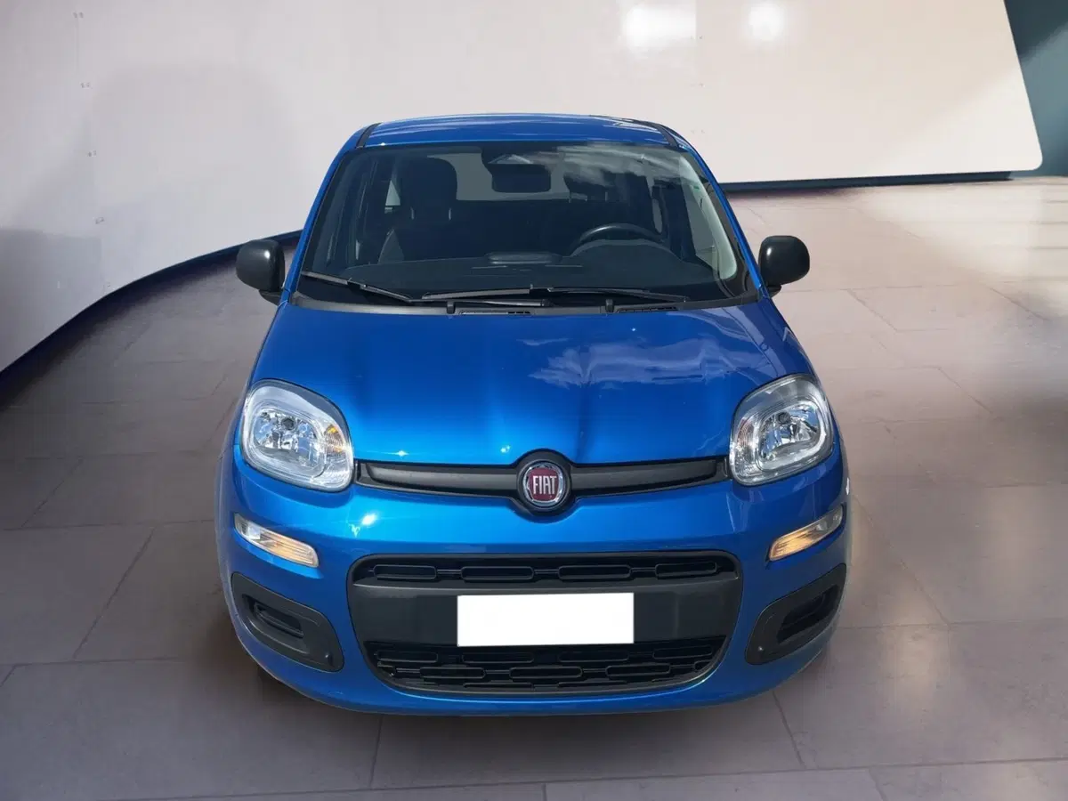 Fiat Pandina usata a Torino