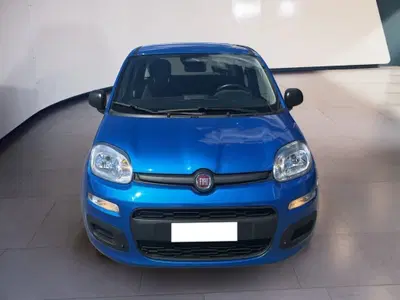 Fiat Pandina 1.0 firefly hybrid s&amp;s 70cv del 2025 usata a Torino