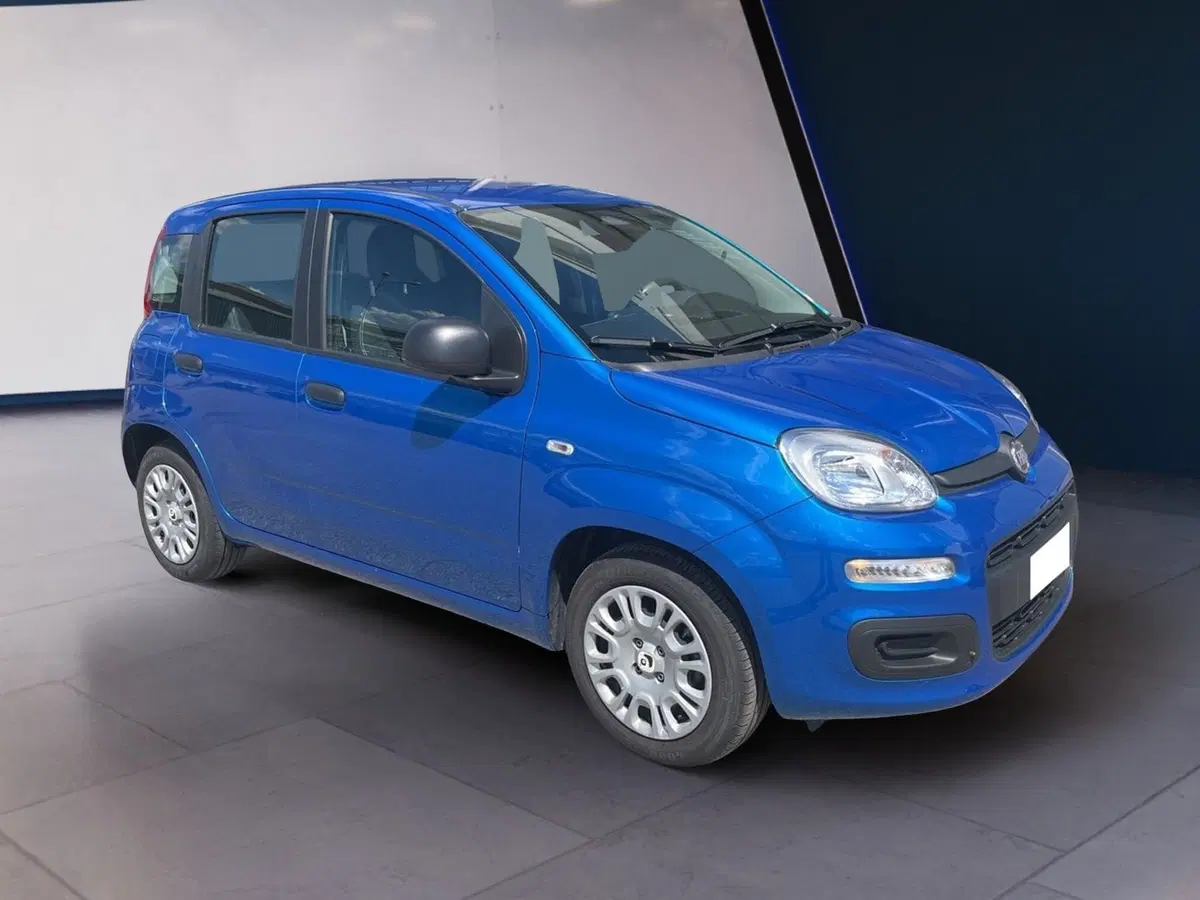 Fiat Pandina usata a Torino (2)