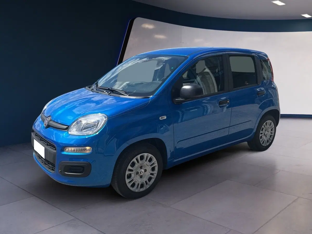 Fiat Pandina usata a Torino (3)