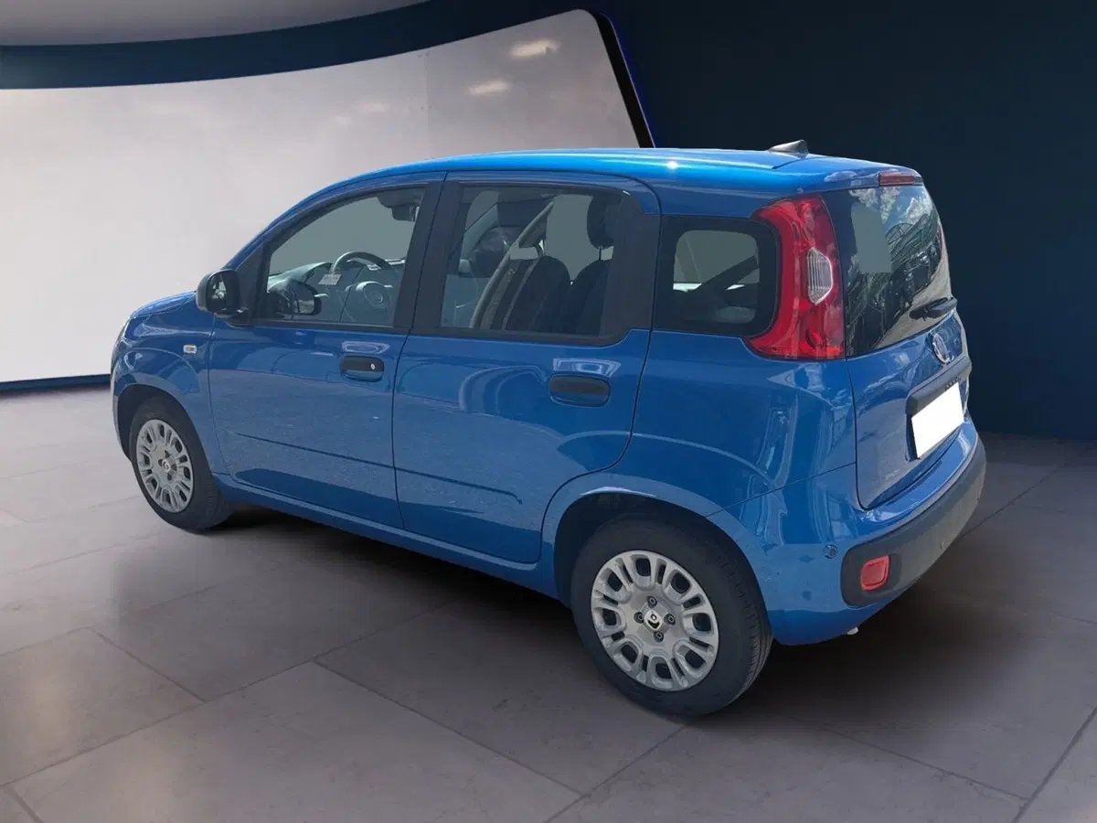 Fiat Pandina usata a Torino (4)