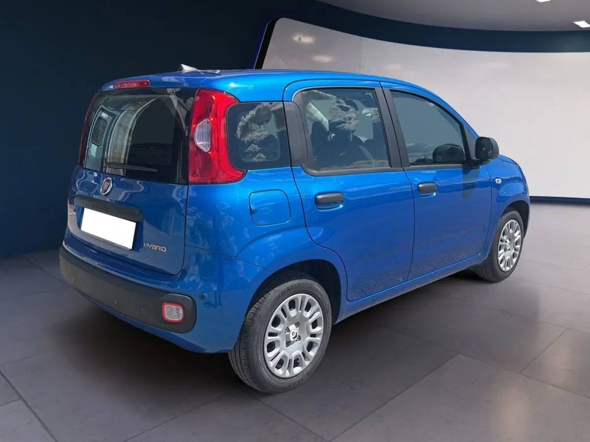 Fiat Pandina usata a Torino (6)