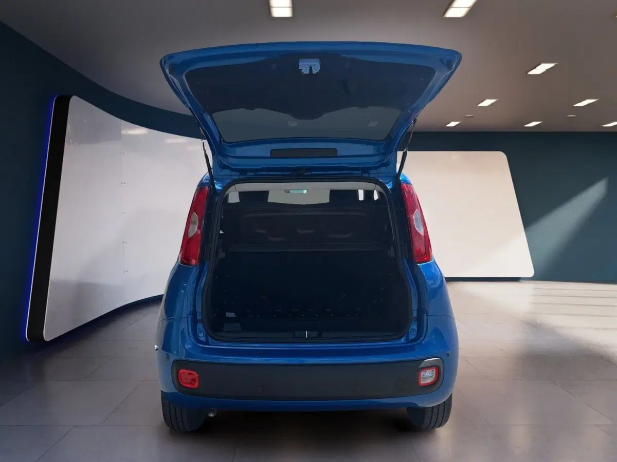 Fiat Pandina usata a Torino (7)