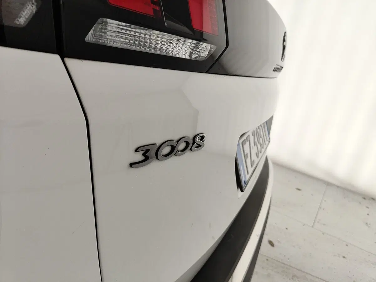 Peugeot 3008 usata a Caserta (10)