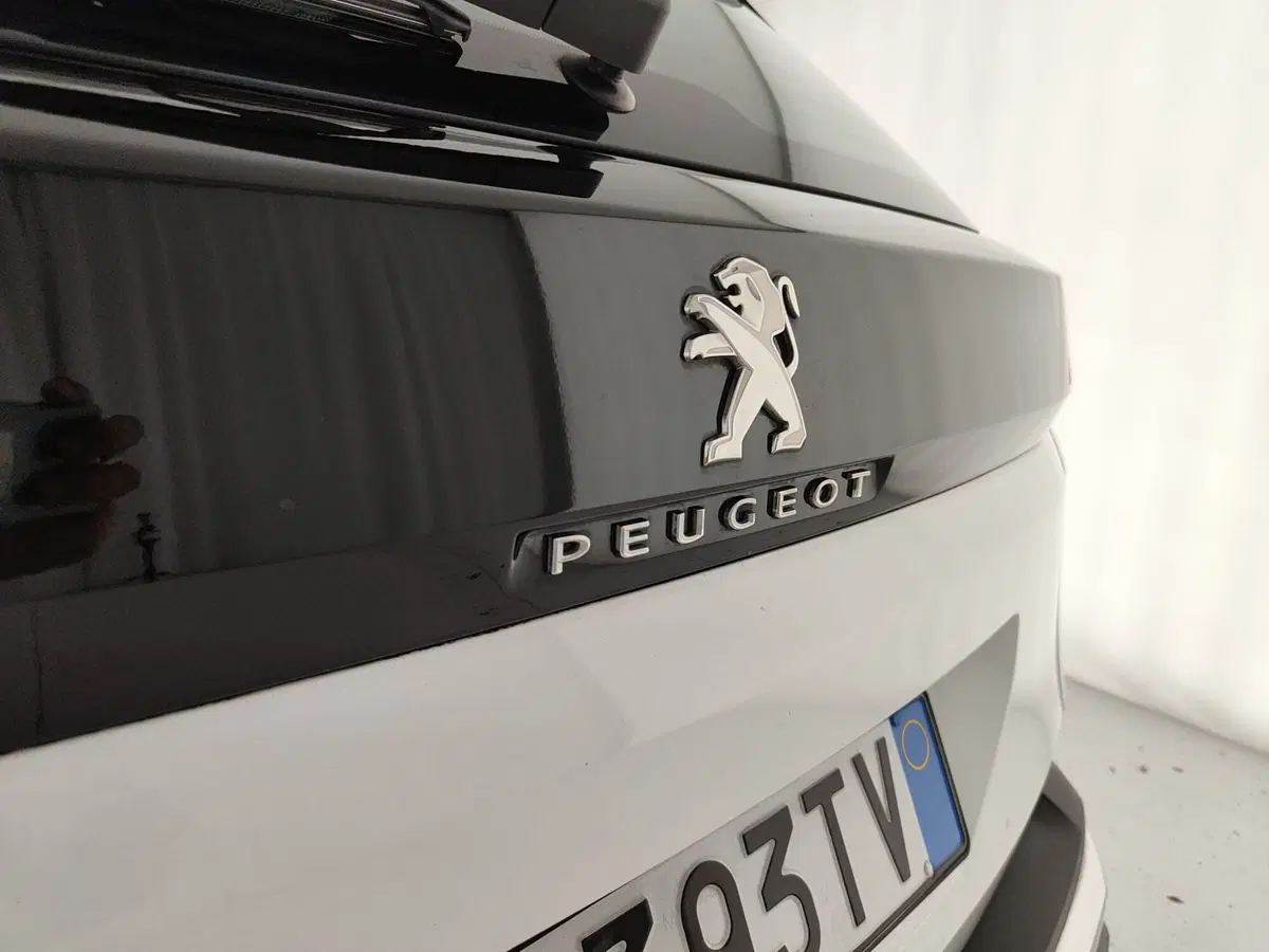 Peugeot 3008 usata a Caserta (11)