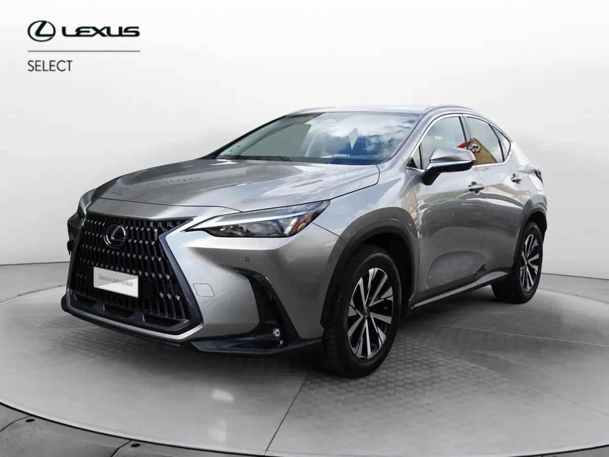 Lexus NX usata a Venezia