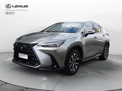 Lexus NX 350h 2.5 Business 4wd e-cvt del 2023 usata a Venezia
