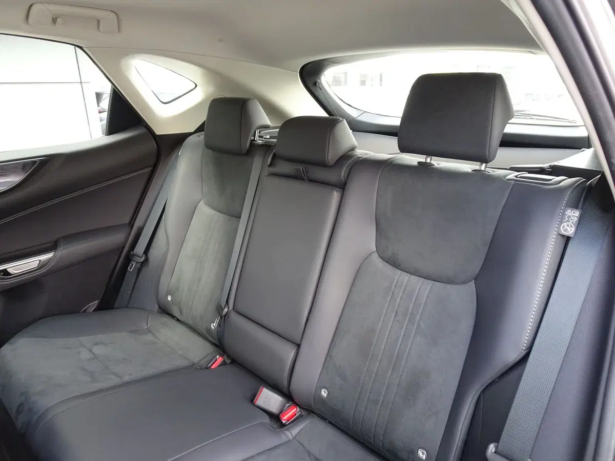 Lexus NX usata a Venezia (10)