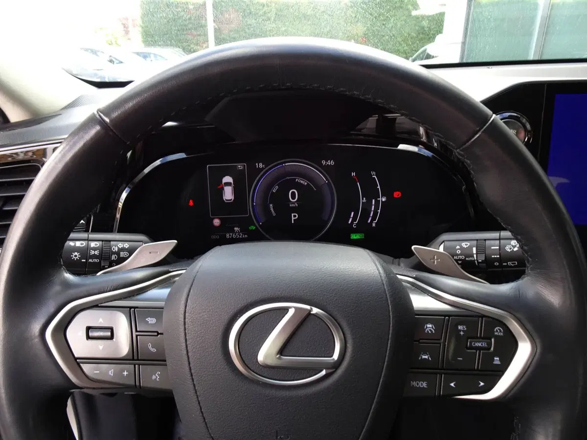 Lexus NX usata a Venezia (12)