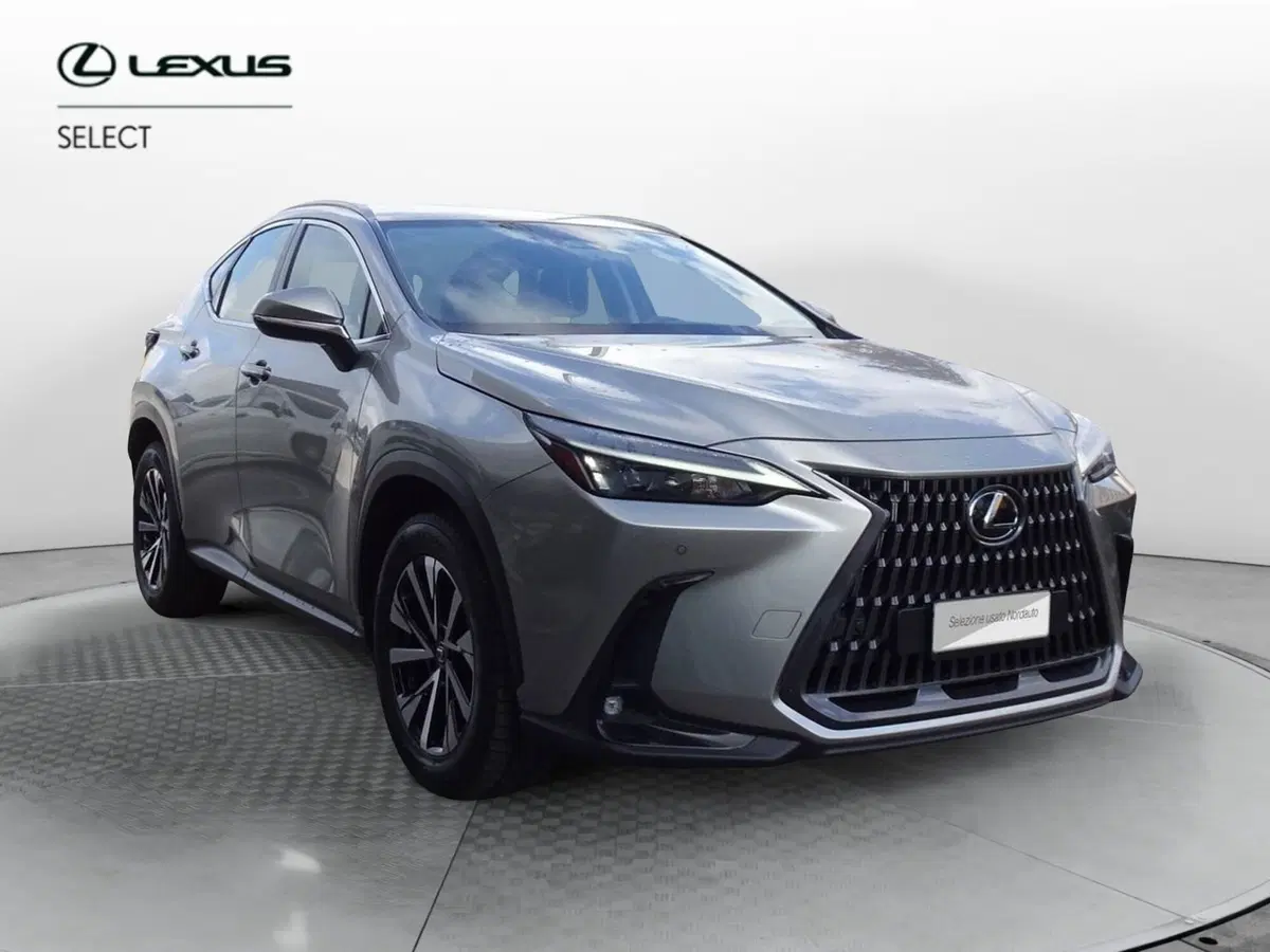 Lexus NX usata a Venezia (2)