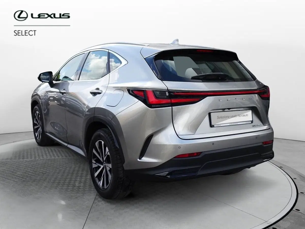 Lexus NX usata a Venezia (4)