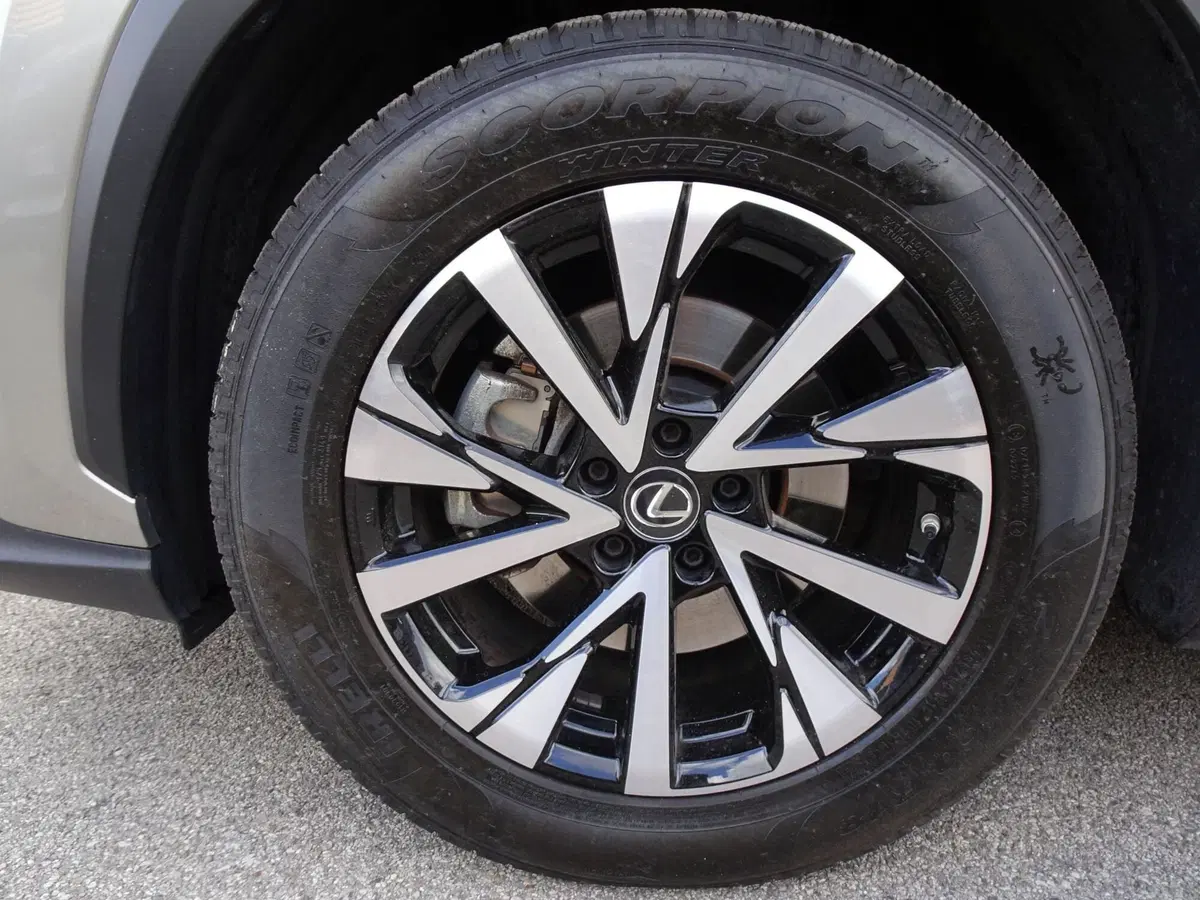 Lexus NX usata a Venezia (6)