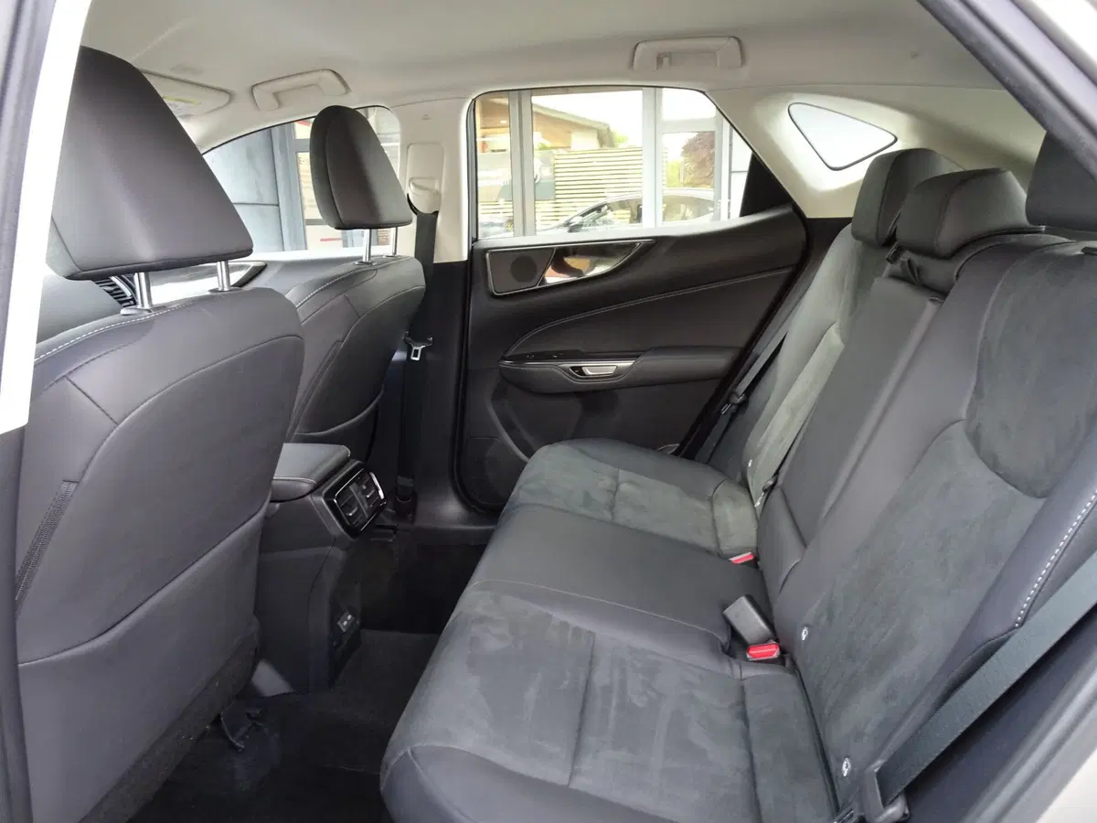 Lexus NX usata a Venezia (9)