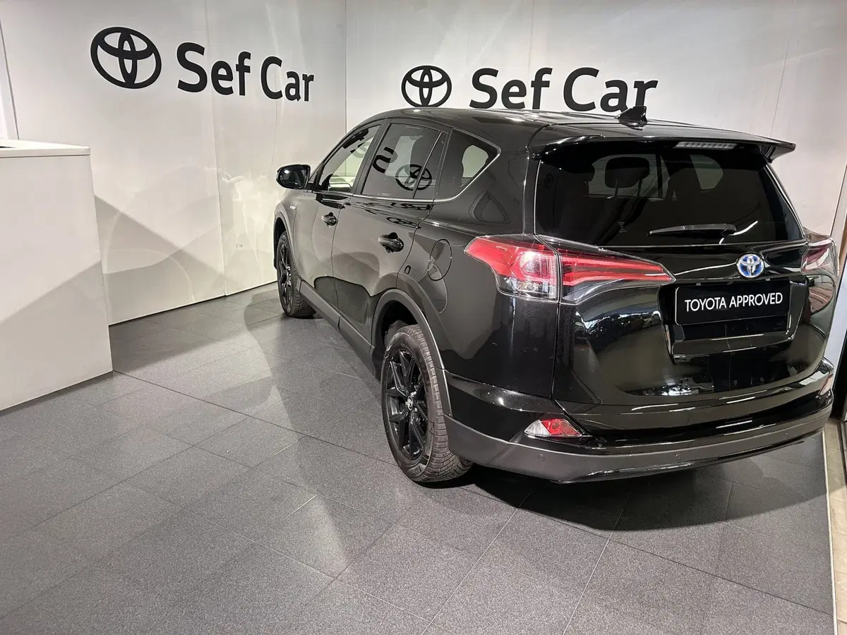 Toyota Rav4 usata a Milano (4)