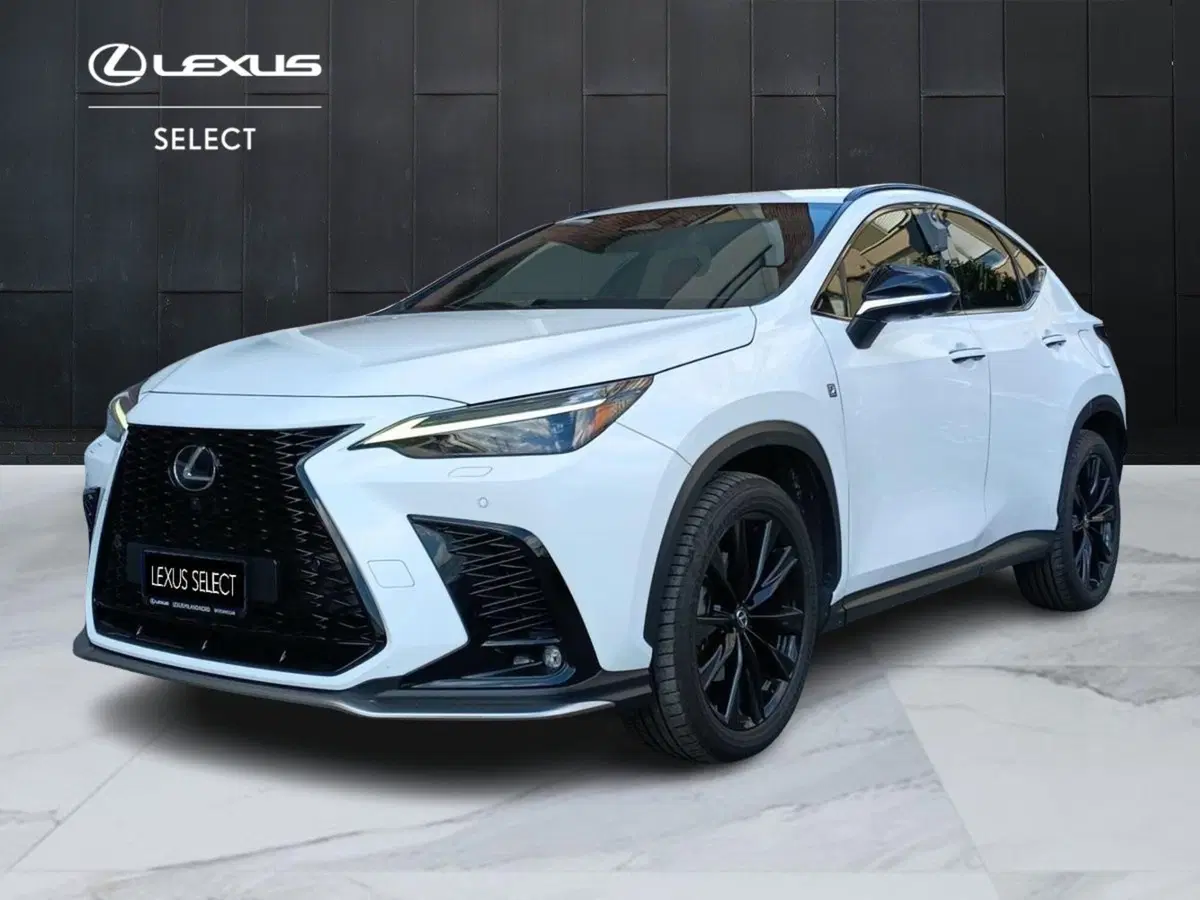 Lexus NX usata a Milano