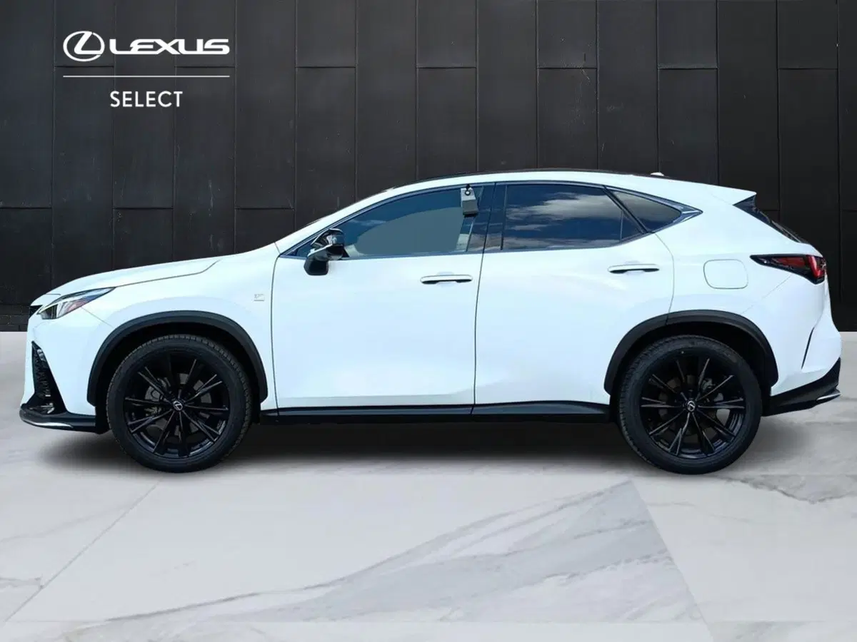Lexus NX usata a Milano (3)