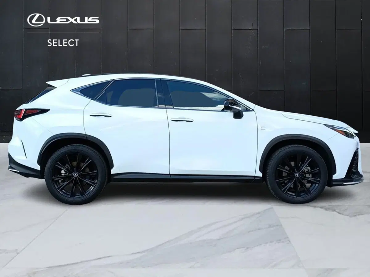 Lexus NX usata a Milano (4)