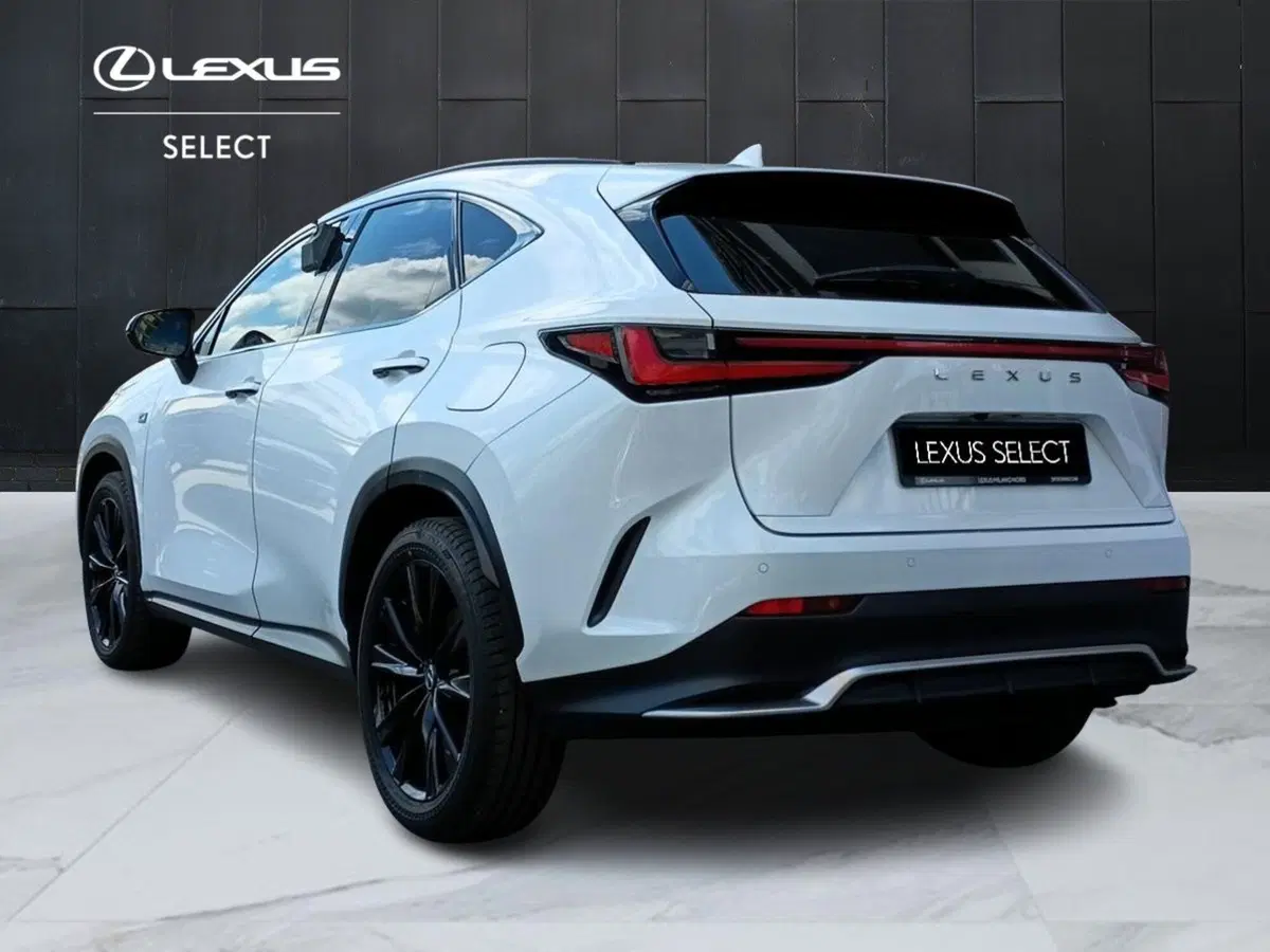 Lexus NX usata a Milano (5)