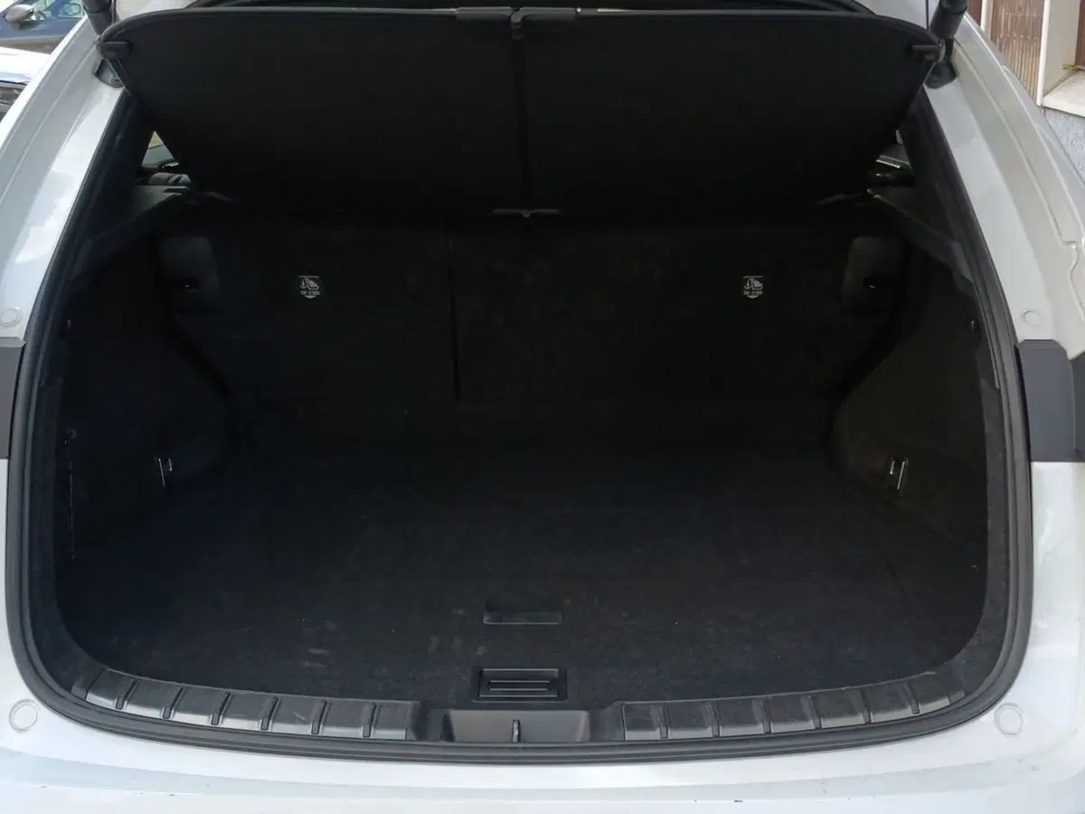 Lexus NX usata a Milano (6)