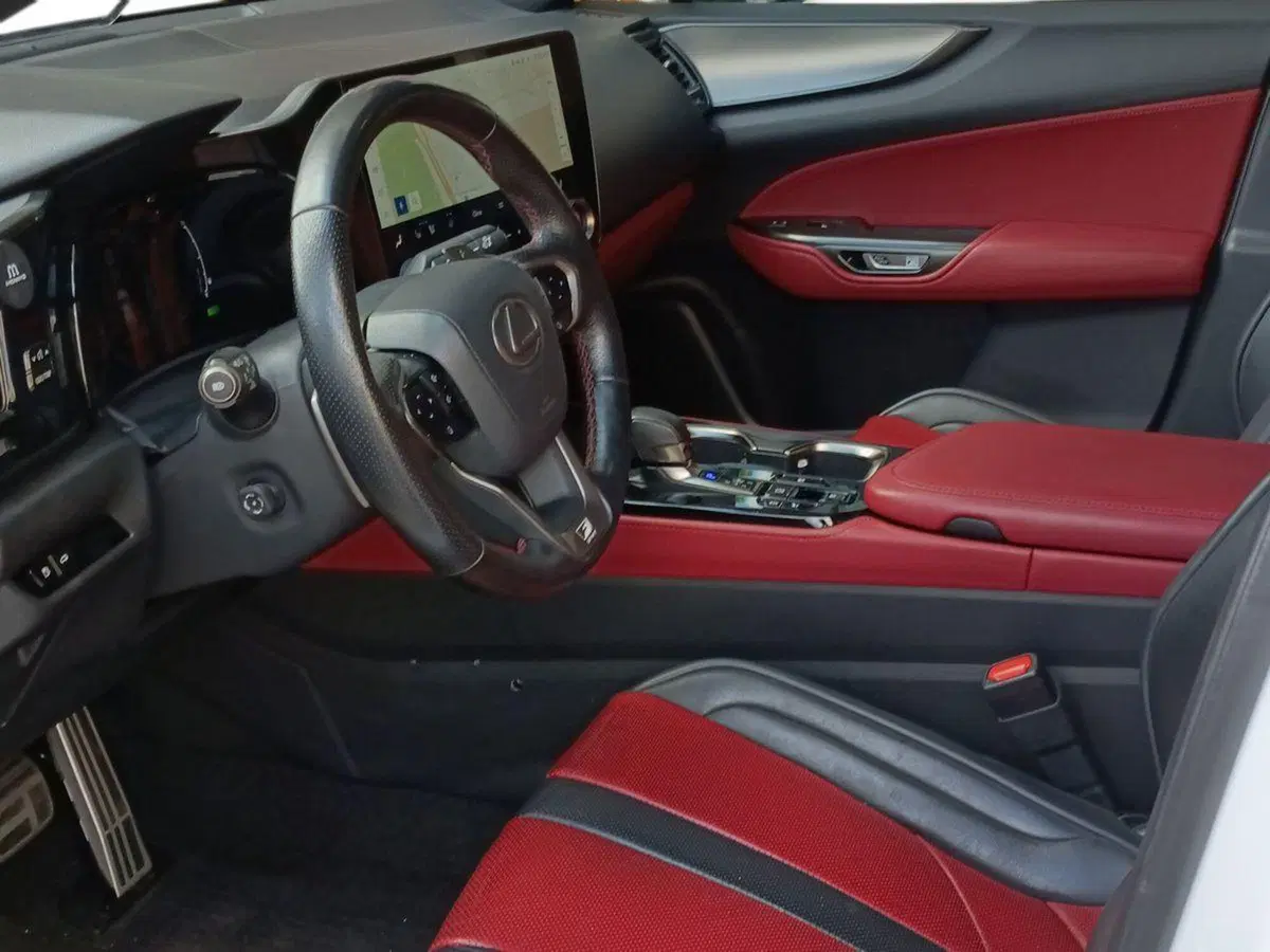 Lexus NX usata a Milano (7)