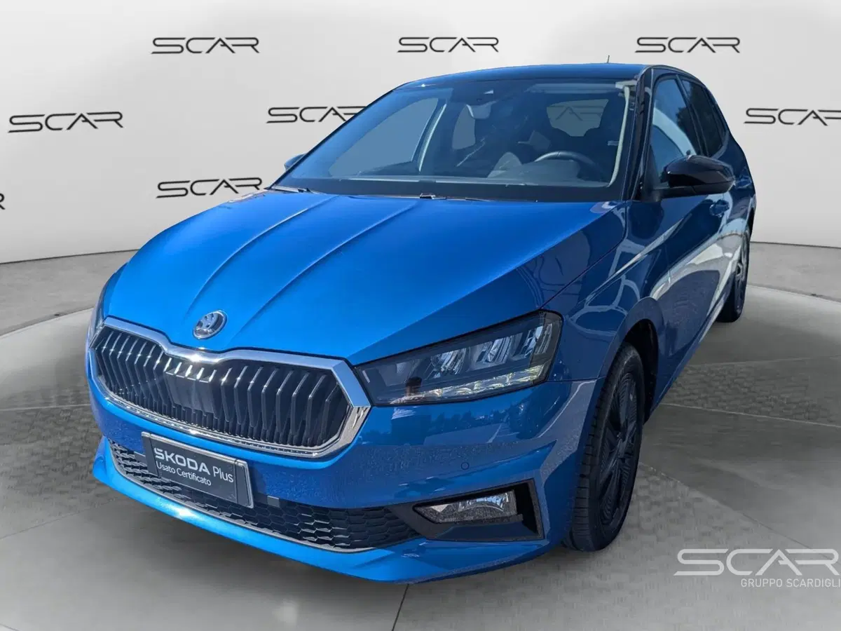 Skoda Fabia usata a Livorno