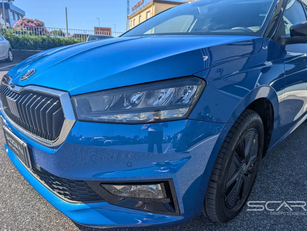 Skoda Fabia usata a Livorno (12)