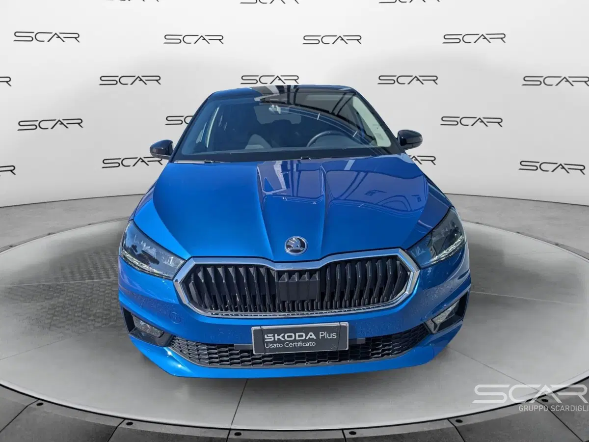 Skoda Fabia usata a Livorno (2)