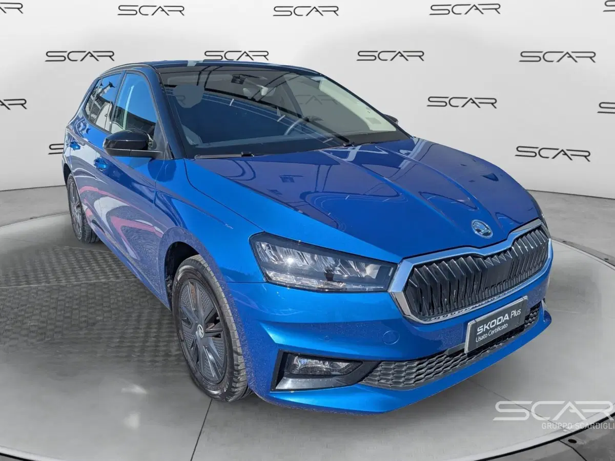 Skoda Fabia usata a Livorno (3)