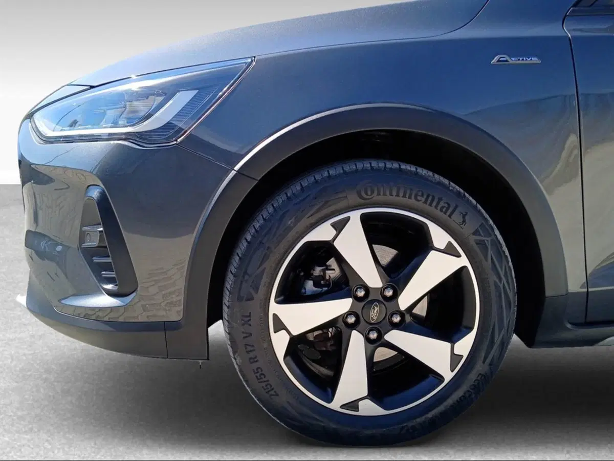Ford Focus usata a Pisa (15)