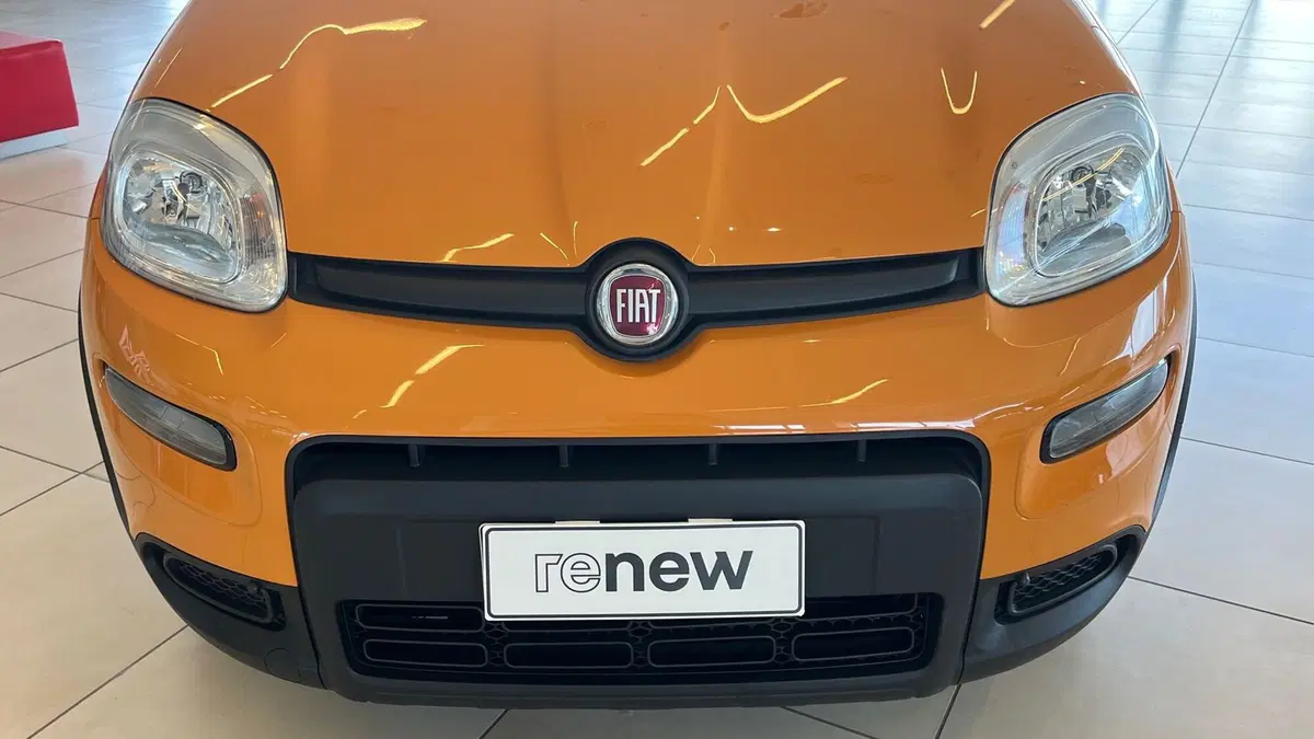 Fiat Panda Cross usata a Catania (19)