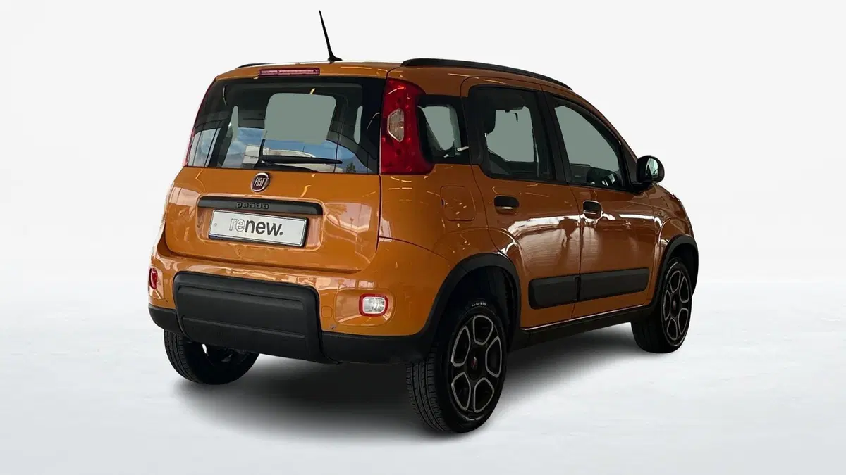 Fiat Panda Cross usata a Catania (2)